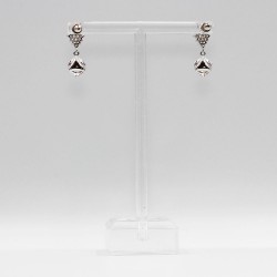 Earrings with Swarovski stone E0011